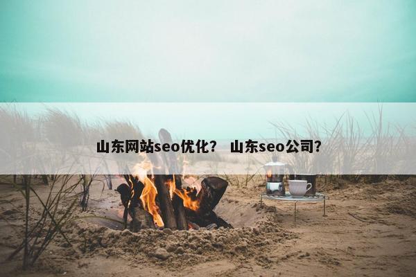 山东网站seo优化？ 山东seo公司？