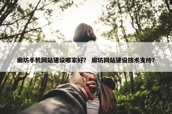 廊坊手机网站建设哪家好？ 廊坊网站建设技术支持？