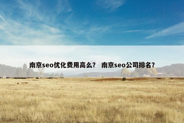 南京seo优化费用高么？ 南京seo公司排名？