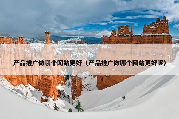 产品推广做哪个网站更好（产品推广做哪个网站更好呢）