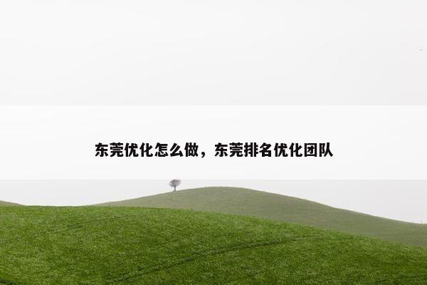 东莞优化怎么做，东莞排名优化团队