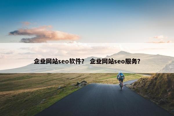 企业网站seo软件？ 企业网站seo服务？