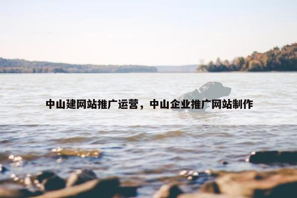 中山建网站推广运营，中山企业推广网站制作