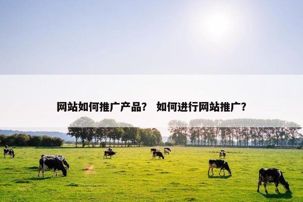 网站如何推广产品？ 如何进行网站推广？
