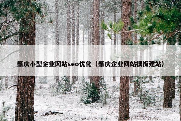 肇庆小型企业网站seo优化（肇庆企业网站模板建站）