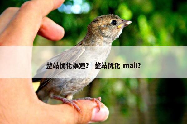 整站优化渠道？ 整站优化 mail？