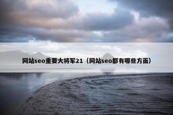 网站seo重要大将军21（网站seo都有哪些方面）