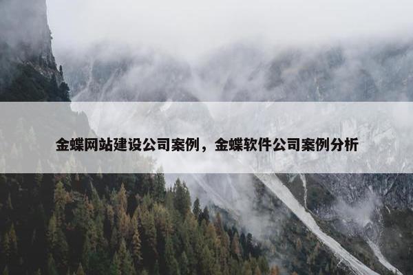 金蝶网站建设公司案例，金蝶软件公司案例分析
