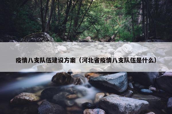 疫情八支队伍建设方案（河北省疫情八支队伍是什么）
