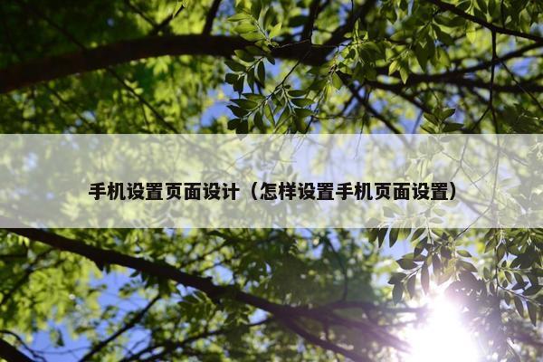 手机设置页面设计（怎样设置手机页面设置）