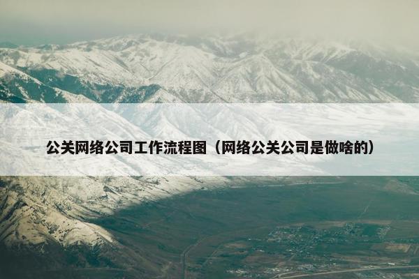 公关网络公司工作流程图（网络公关公司是做啥的）