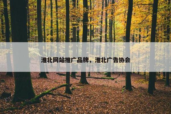 淮北网站推广品牌，淮北广告协会