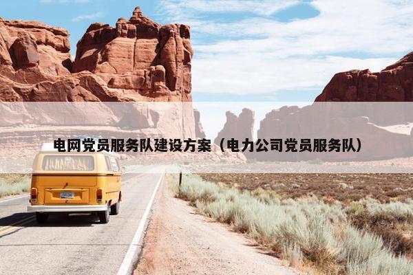 电网党员服务队建设方案（电力公司党员服务队）