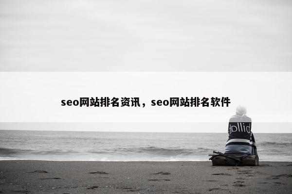 seo网站排名资讯，seo网站排名软件