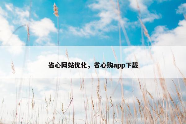 省心网站优化，省心购app下载
