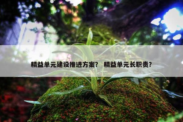 精益单元建设推进方案？ 精益单元长职责？