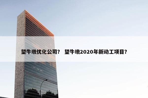 望牛墩优化公司？ 望牛墩2020年新动工项目？