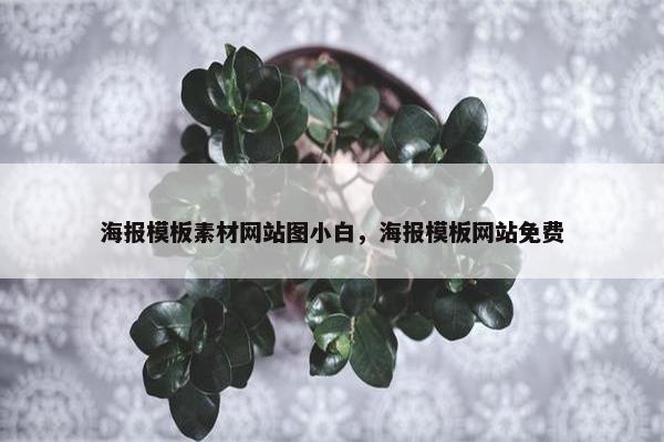 海报模板素材网站图小白，海报模板网站免费