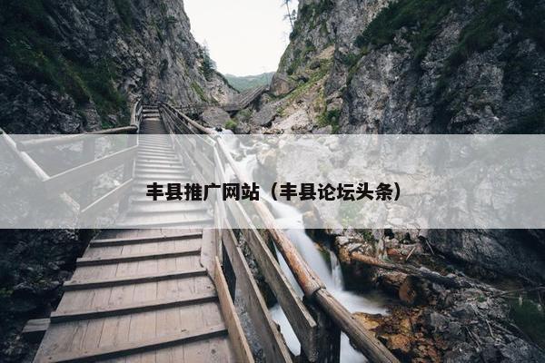 丰县推广网站（丰县论坛头条）