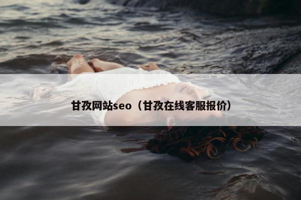 甘孜网站seo（甘孜在线客服报价）