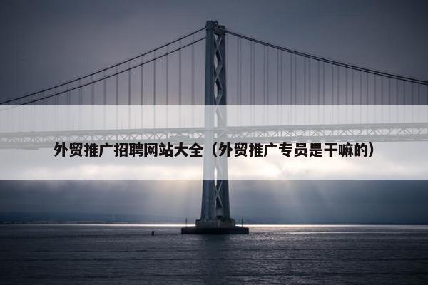 外贸推广招聘网站大全（外贸推广专员是干嘛的）