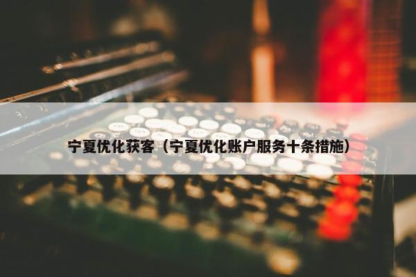 宁夏优化获客（宁夏优化账户服务十条措施）