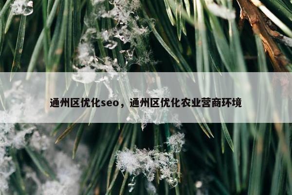 通州区优化seo，通州区优化农业营商环境