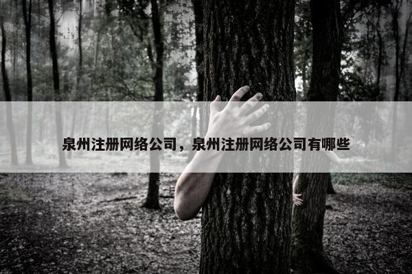 泉州注册网络公司，泉州注册网络公司有哪些