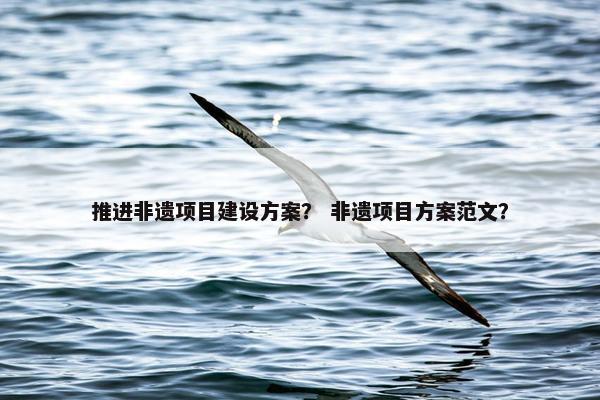 推进非遗项目建设方案？ 非遗项目方案范文？
