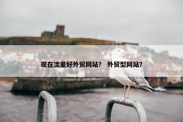 现在流量好外贸网站？ 外贸型网站？