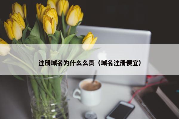 注册域名为什么么贵（域名注册便宜）