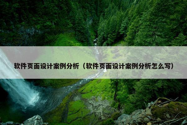 软件页面设计案例分析（软件页面设计案例分析怎么写）