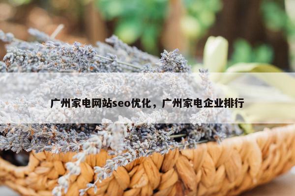 广州家电网站seo优化，广州家电企业排行