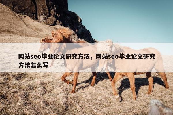 网站seo毕业论文研究方法，网站seo毕业论文研究方法怎么写