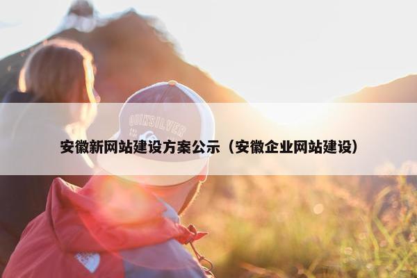 安徽新网站建设方案公示（安徽企业网站建设）