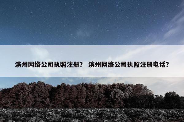 滨州网络公司执照注册？ 滨州网络公司执照注册电话？