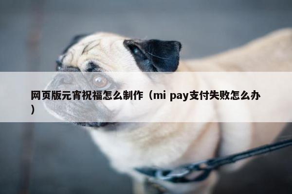 网页版元宵祝福怎么制作（mi pay支付失败怎么办）