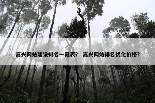 嘉兴网站建设排名一览表？ 嘉兴网站排名优化价格？