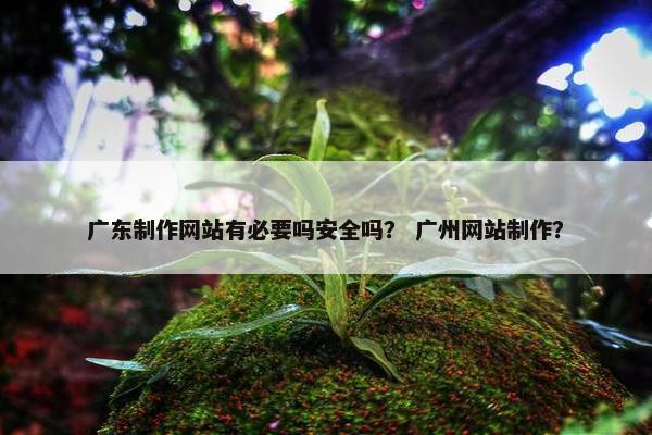 广东制作网站有必要吗安全吗？ 广州网站制作？