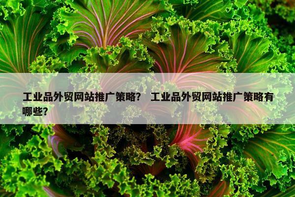 工业品外贸网站推广策略？ 工业品外贸网站推广策略有哪些？