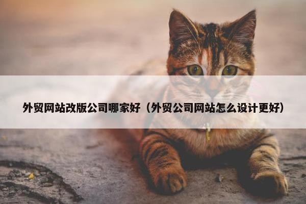 外贸网站改版公司哪家好（外贸公司网站怎么设计更好）