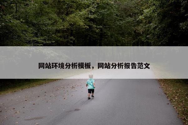 网站环境分析模板，网站分析报告范文
