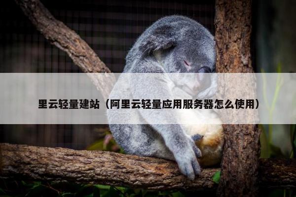 里云轻量建站（阿里云轻量应用服务器怎么使用）