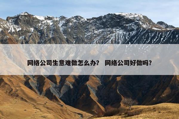 网络公司生意难做怎么办？ 网络公司好做吗？