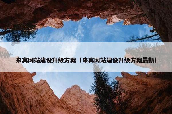 来宾网站建设升级方案（来宾网站建设升级方案最新）