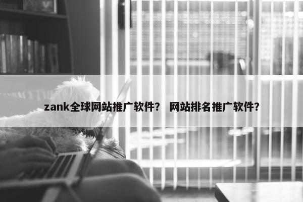 zank全球网站推广软件？ 网站排名推广软件？