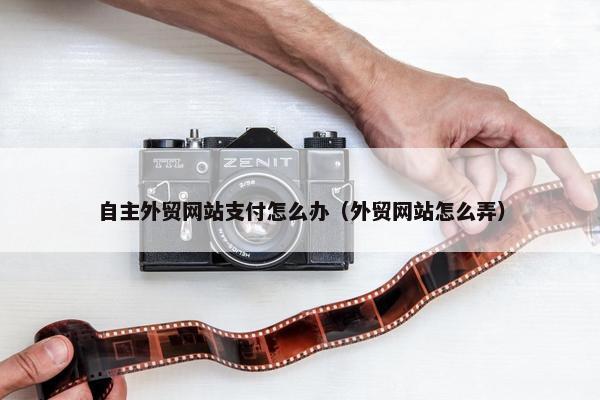 自主外贸网站支付怎么办（外贸网站怎么弄）