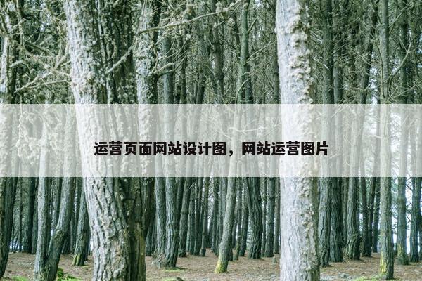 运营页面网站设计图，网站运营图片