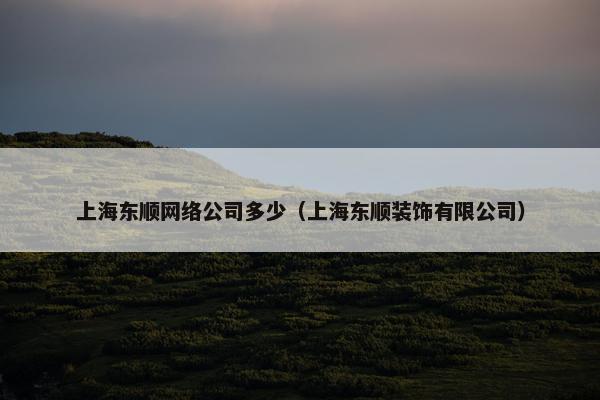 上海东顺网络公司多少（上海东顺装饰有限公司）