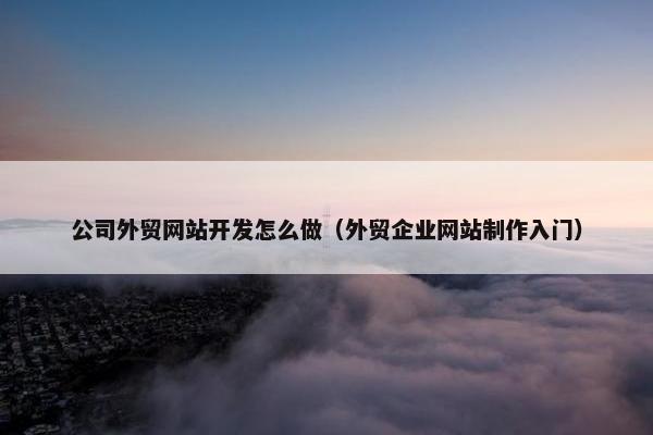 公司外贸网站开发怎么做（外贸企业网站制作入门）